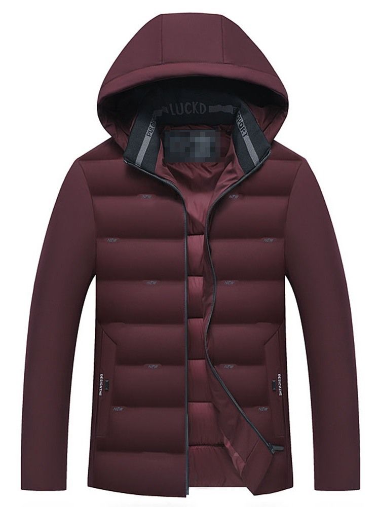 Plain Hooded Standard Casual Glidelås Dunjakke For Menn