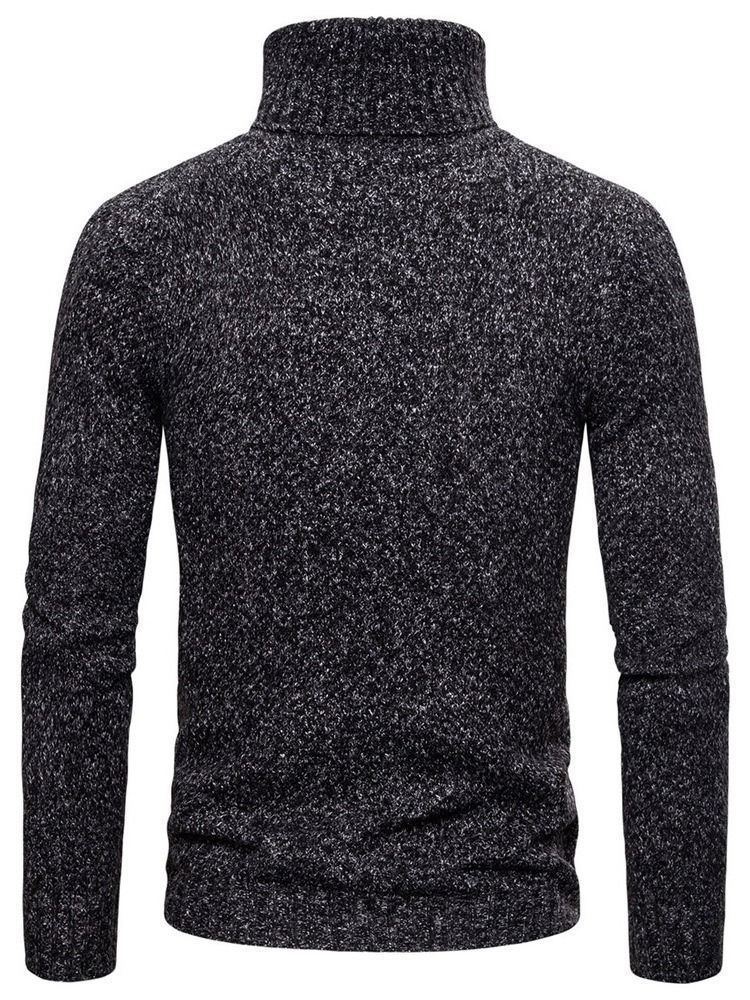 Plain Turtleneck Standard Casual Menns Genser