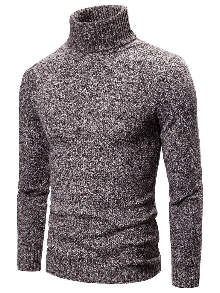 Plain Turtleneck Standard Casual Menns Genser