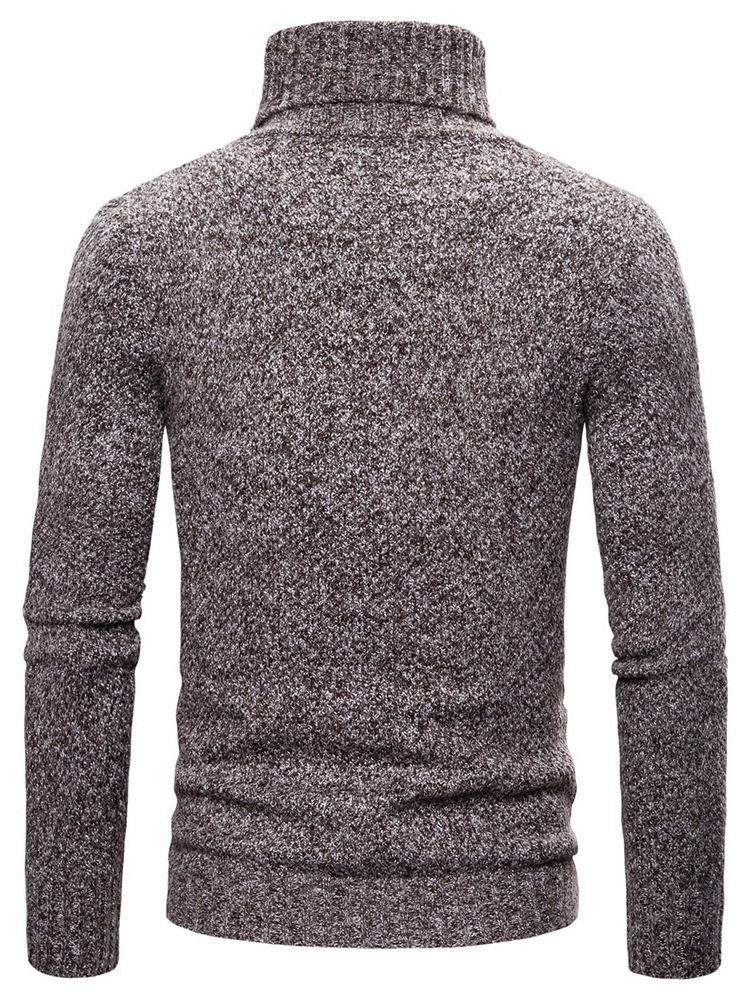 Plain Turtleneck Standard Casual Menns Genser