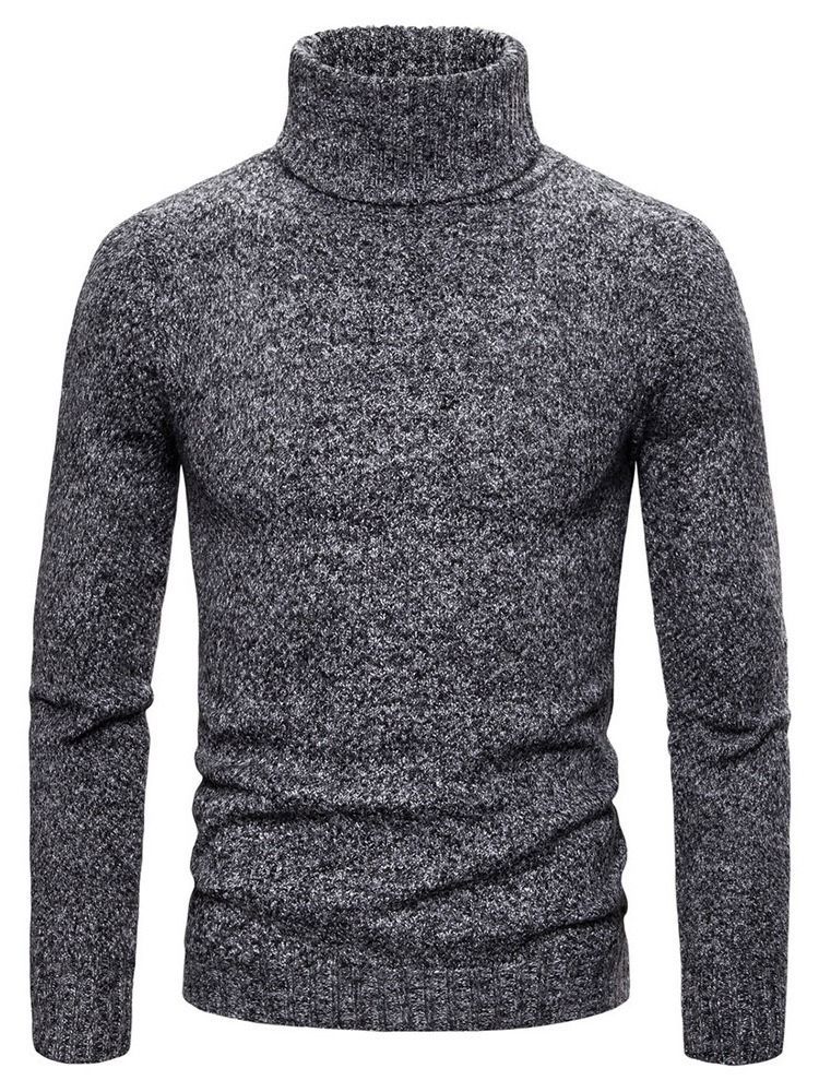 Plain Turtleneck Standard Casual Menns Genser