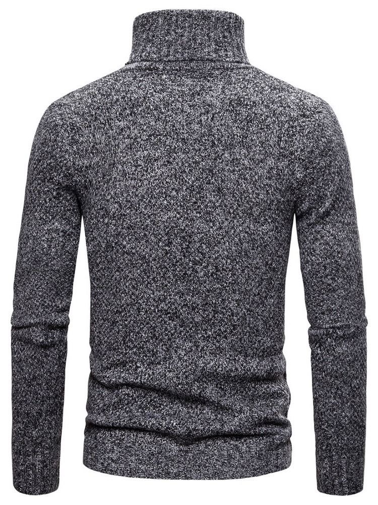 Plain Turtleneck Standard Casual Menns Genser