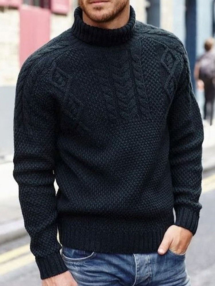 Plain Turtleneck Standard Casual Menns Slim Genser