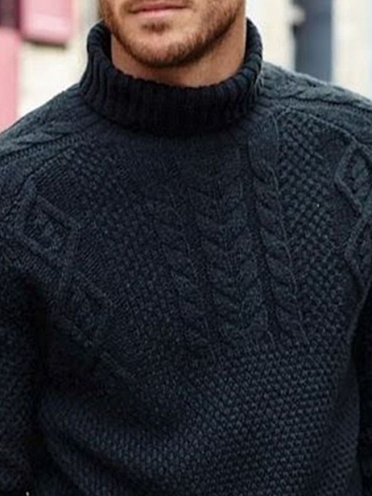 Plain Turtleneck Standard Casual Menns Slim Genser