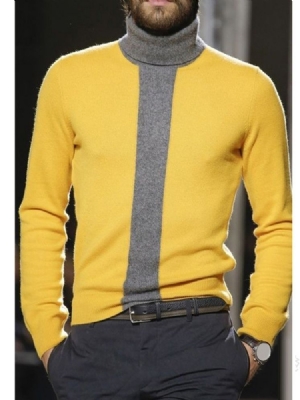 Turtleneck Color Block Standard Winter Casual Herre Genser