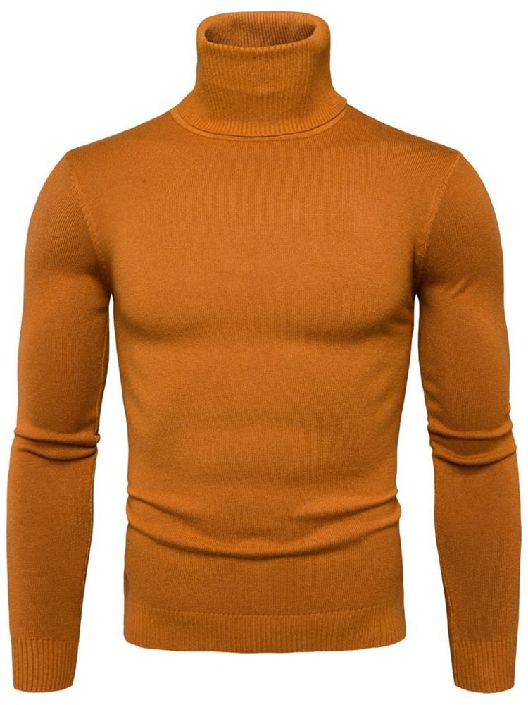 Turtleneck Plain Standard Slim Spring Genser For Menn