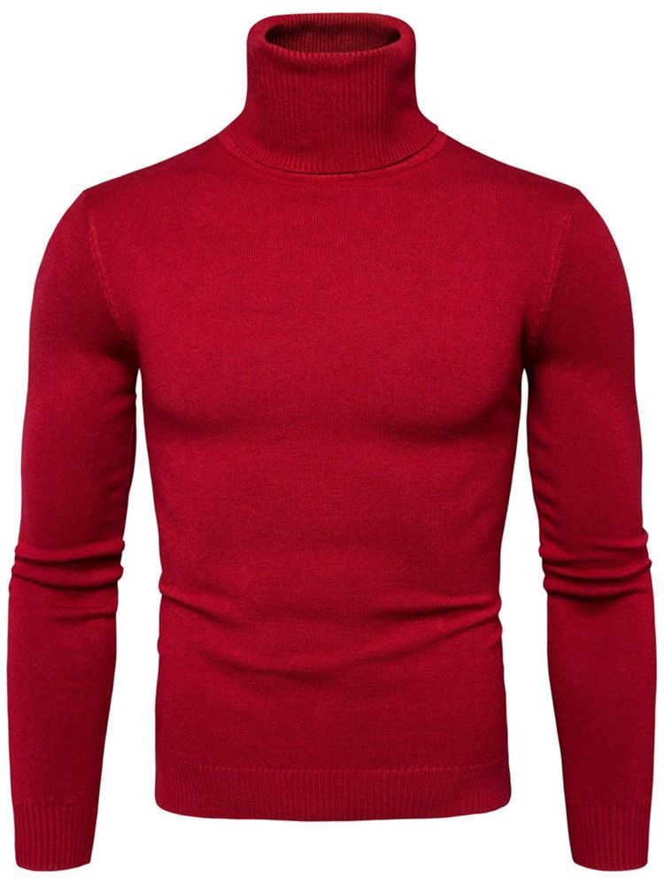 Turtleneck Plain Standard Slim Spring Genser For Menn