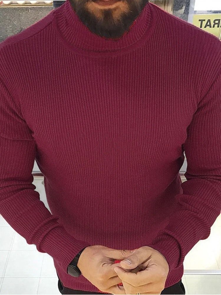 Turtleneck Plain Standard Winter Casual Herre Genser