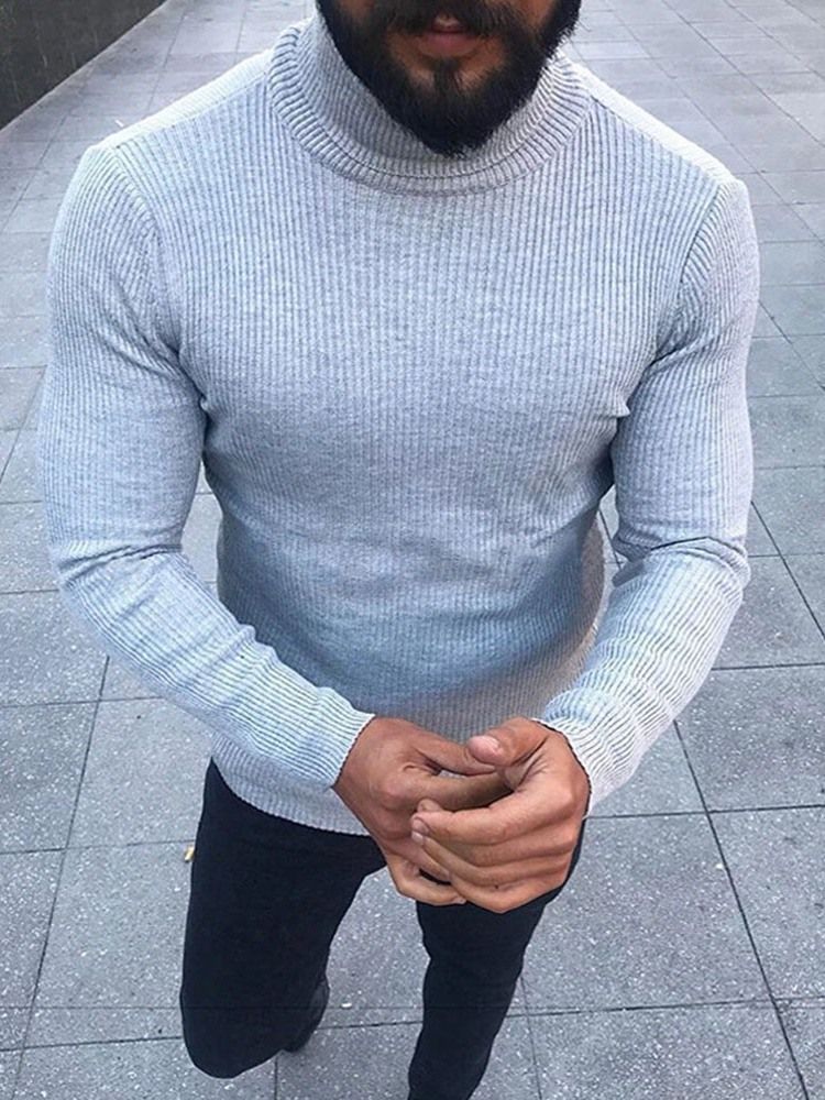 Turtleneck Plain Standard Winter Casual Herre Genser