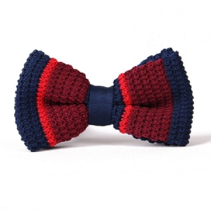 British Style Herre Bowtie