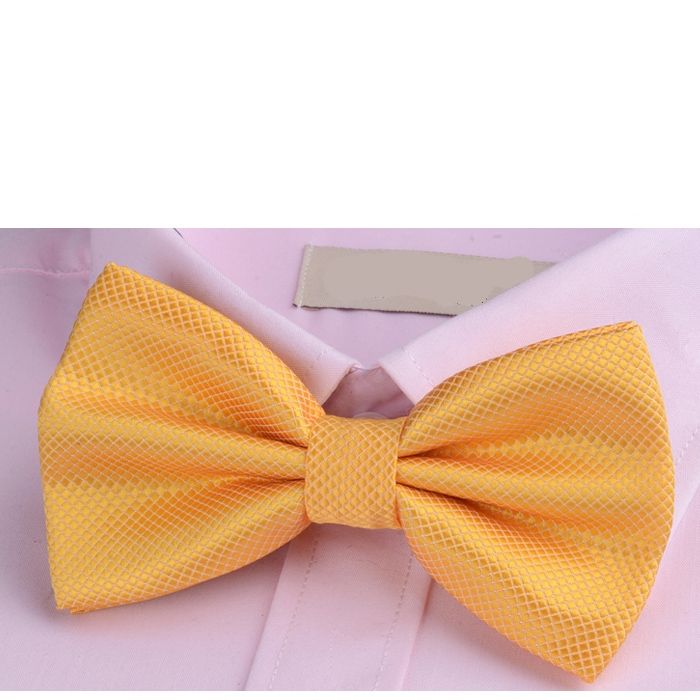 Candy Color Leisure Bowtie Tie For Menn