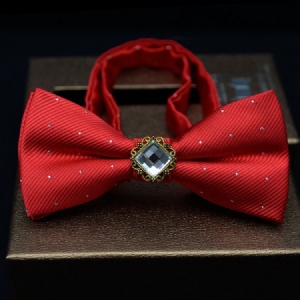 Gems Dots Bow Tie For Menn