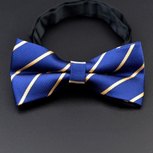 Herre Party Fashion Bow Tie