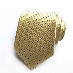 Menn Wave Point Tie