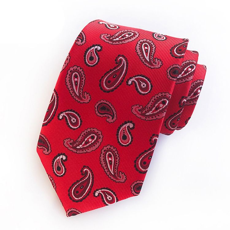 Menns Virksomhet Paisley Tie For Man