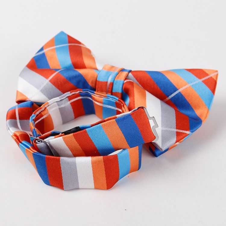 Polyester Bowtie For Menn