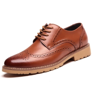 New Lace Up Herre Brogues