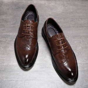 Plain Lace-up Low-cut Upper Round Toe Oxfords For Menn