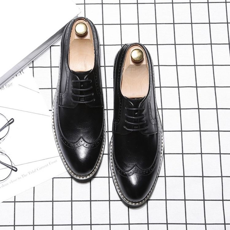 Plain Lace-up Pointed Toe Oxfords For Menn