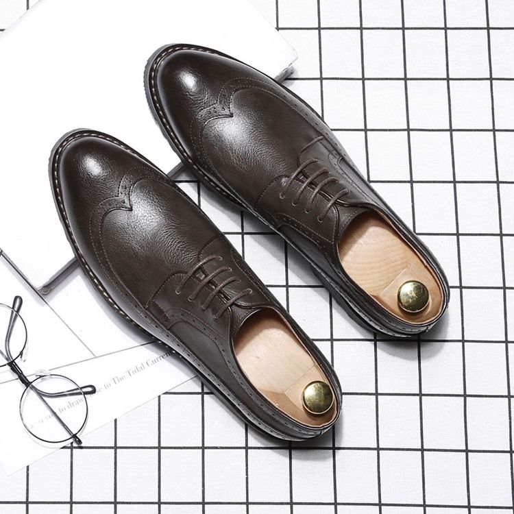 Plain Lace-up Pointed Toe Oxfords For Menn