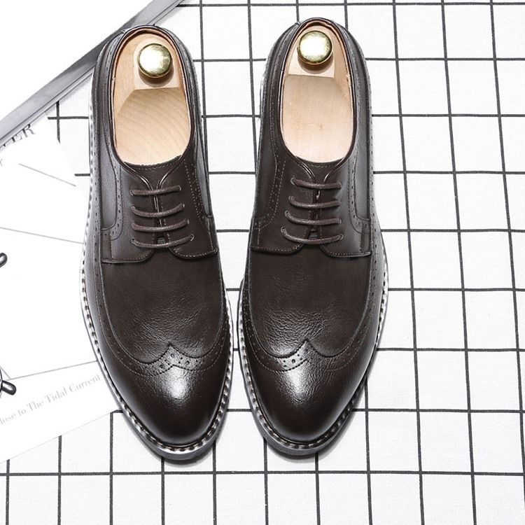 Plain Lace-up Pointed Toe Oxfords For Menn