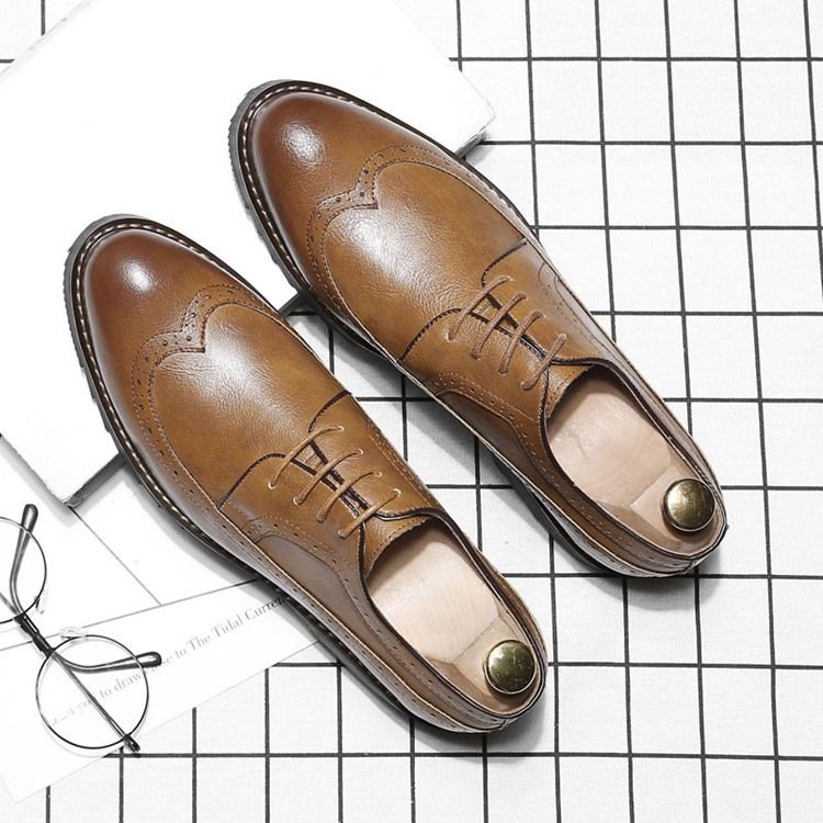 Plain Lace-up Pointed Toe Oxfords For Menn