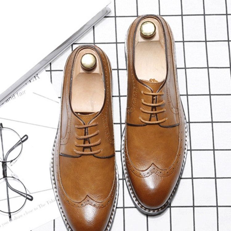 Plain Lace-up Pointed Toe Oxfords For Menn