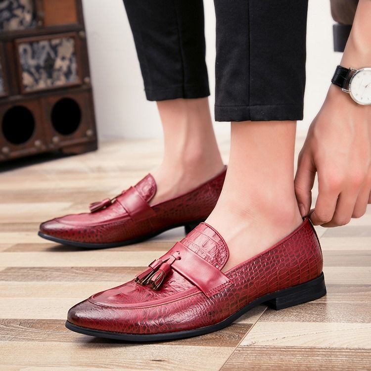 Pu Alligator Pattern Fringe Slip-on Loafers For Menn