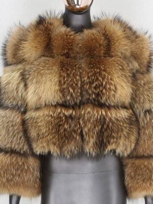 Kvinner Rundhals Regular Standard Straight Winter Faux Fur Overcoat