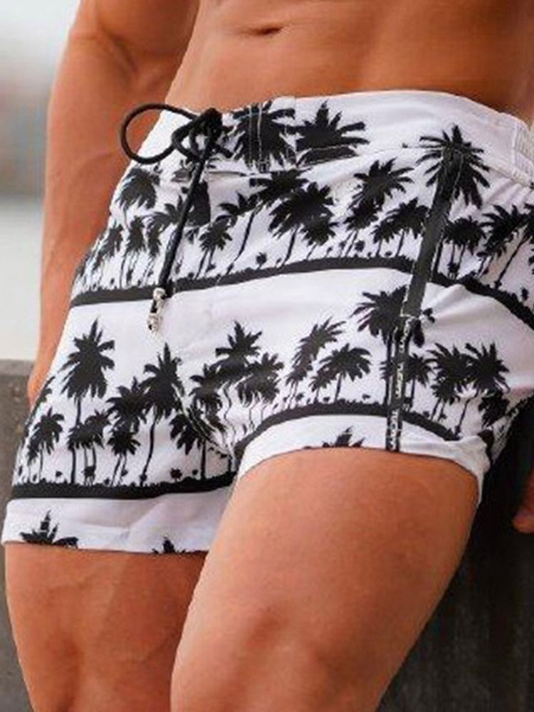 Plant Print Slim Lace-up Casual Shorts For Menn